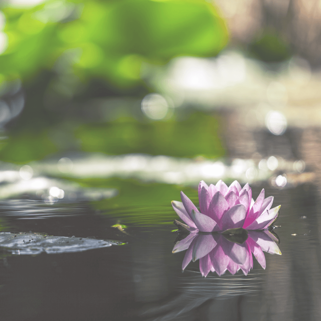 Image de fond du site